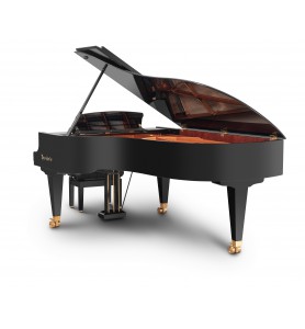 Vienna Concert 230VC de la marque Bösendorfer